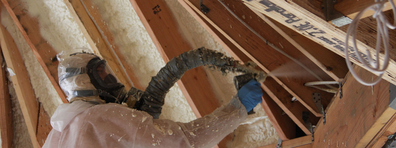 Salinas California Attic Insulation Spray Foam